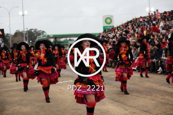 PDZ_2221